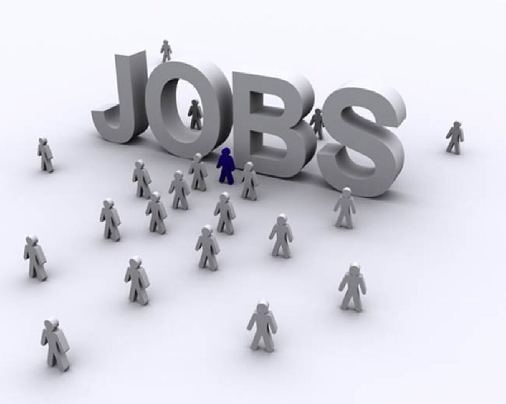 UPSSSC Jobs (Representational Image)