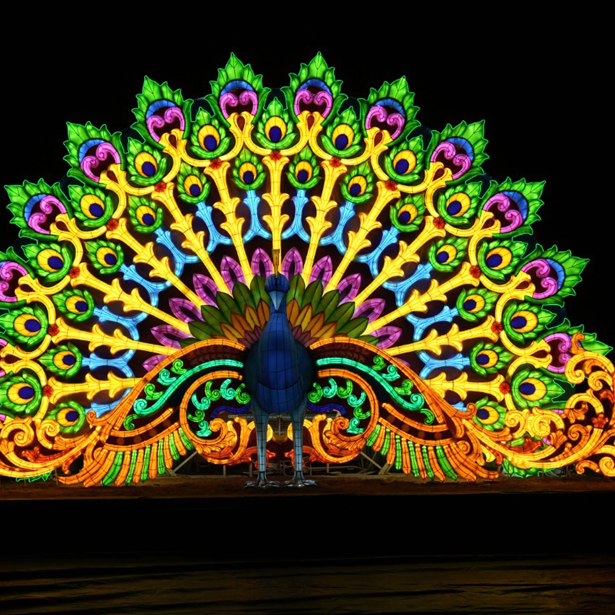 स्वामी महाराज की जयंती