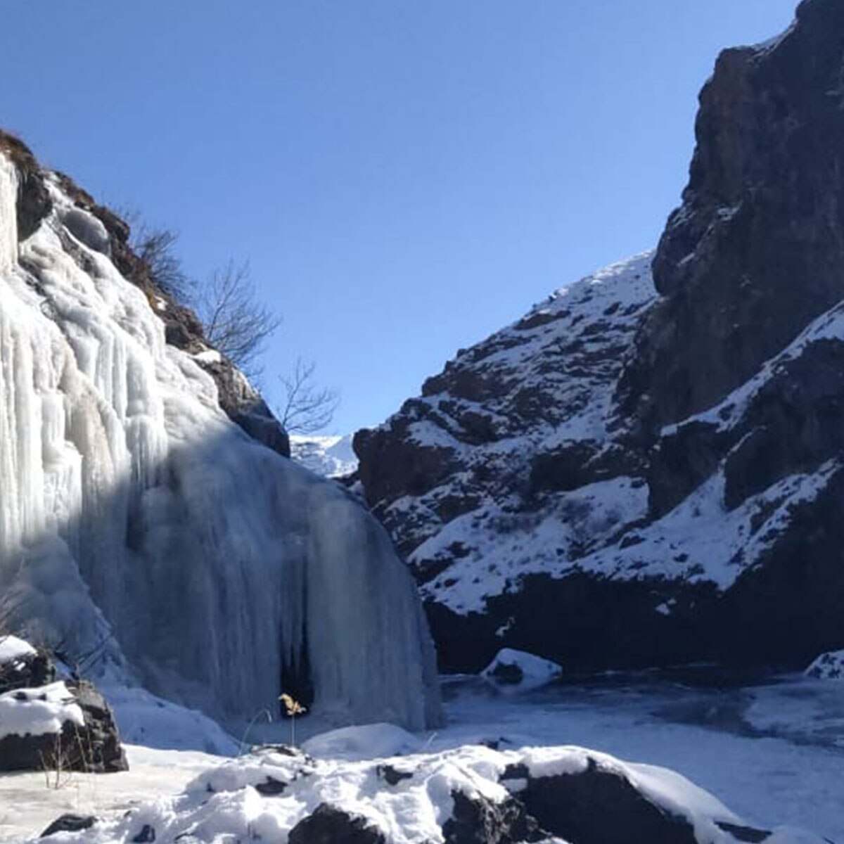 लद्दाख में जबरदस्त बर्फ