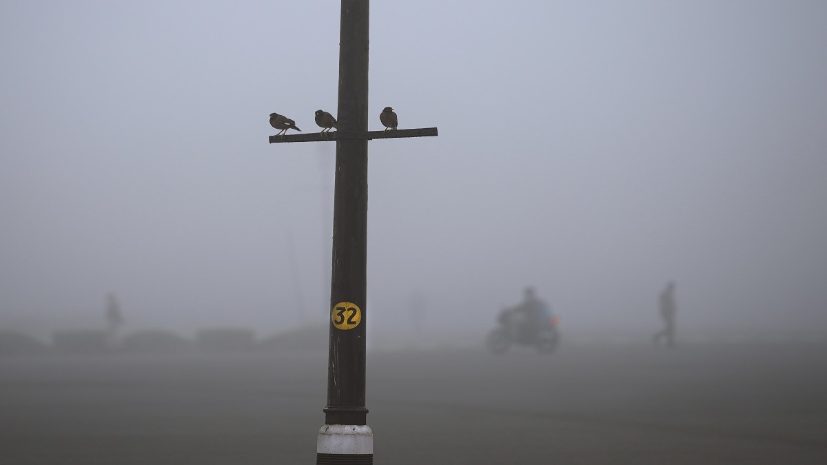 उत्तर प्रदेश का मौसम