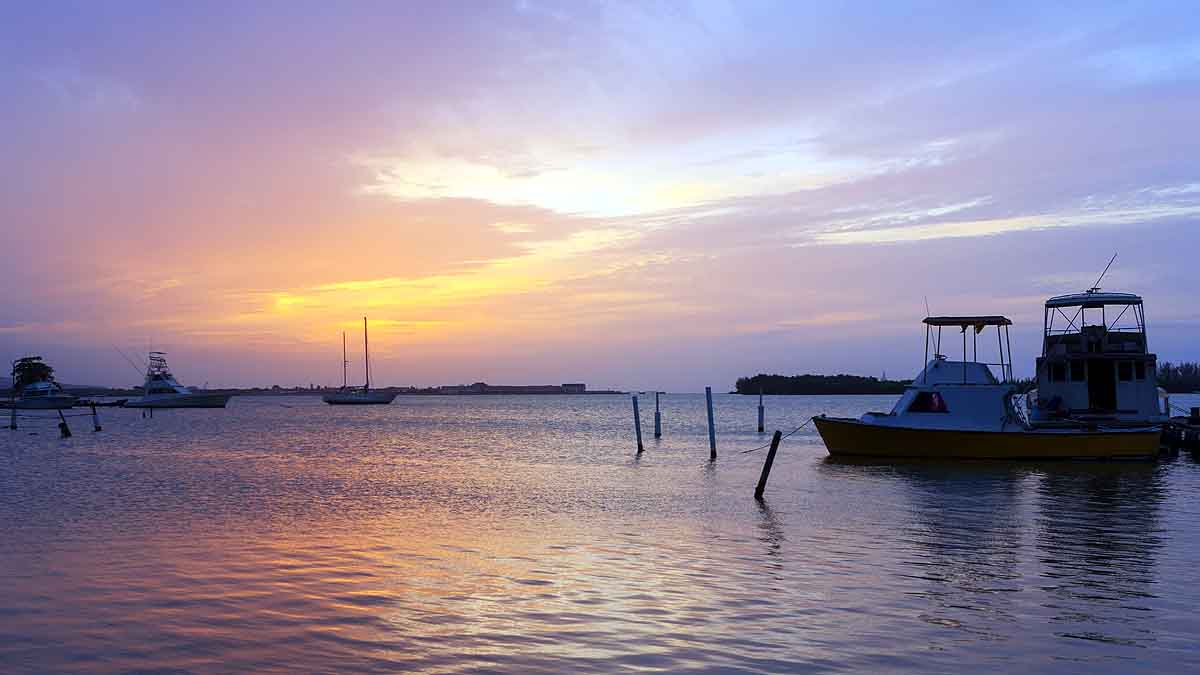 Avatar's Pandora Like Places on Earth