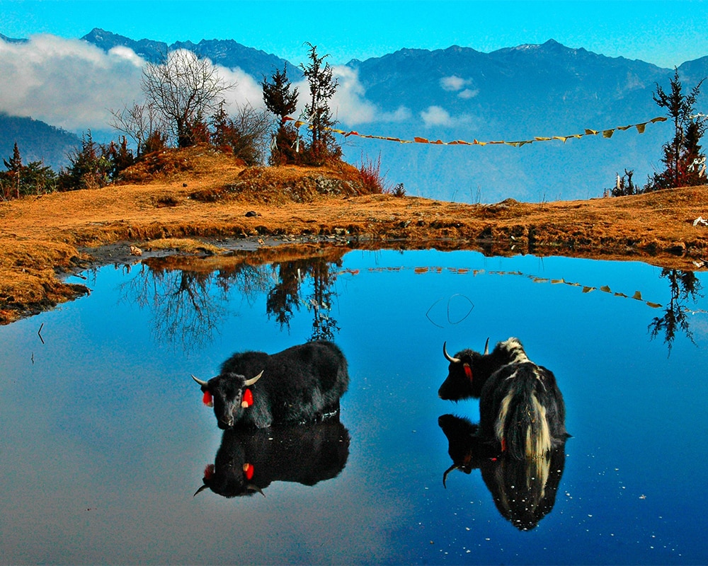 अरुणाचलन का तवांग है बेहद खूबसूरत, एक बार जरूर जाएं (PC: Getty Images)