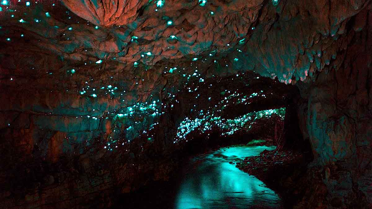 Avatar's Pandora Like Places on Earth