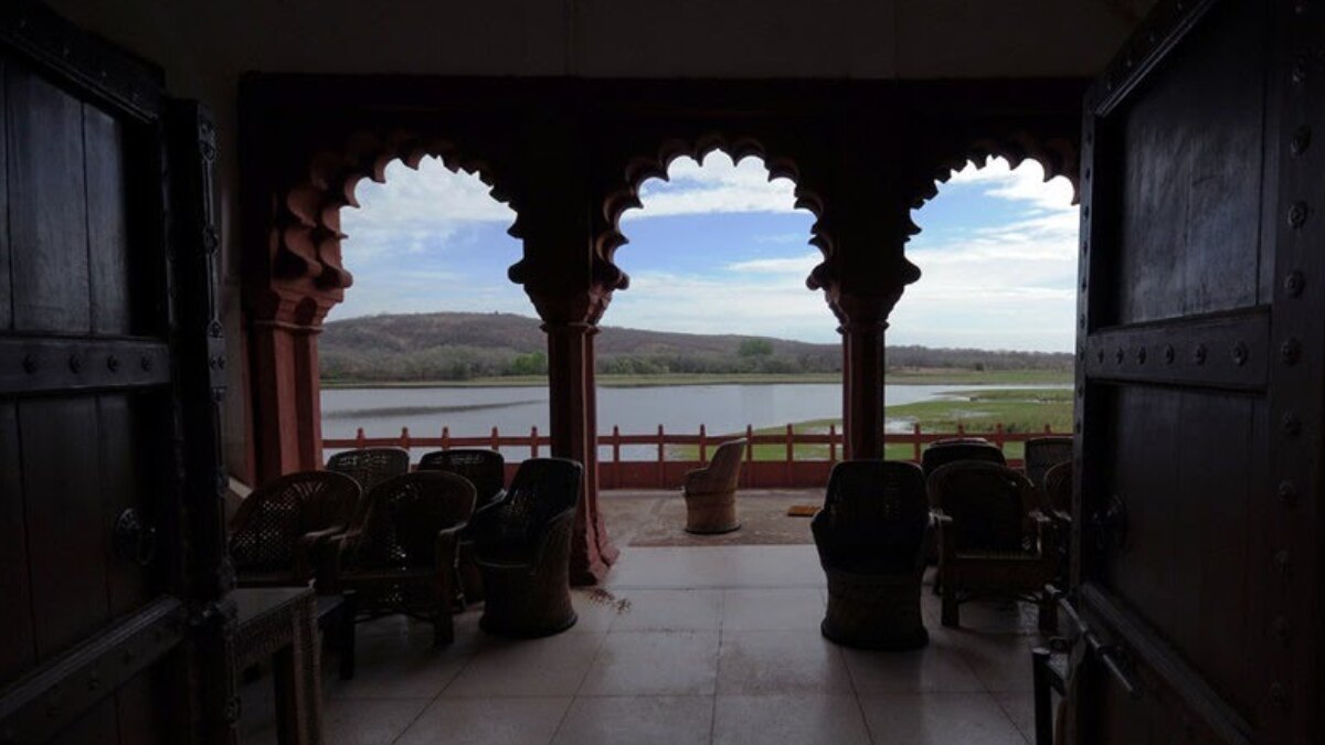 जोगी महल के पास सबसे बड़ा बरगद का पेड़