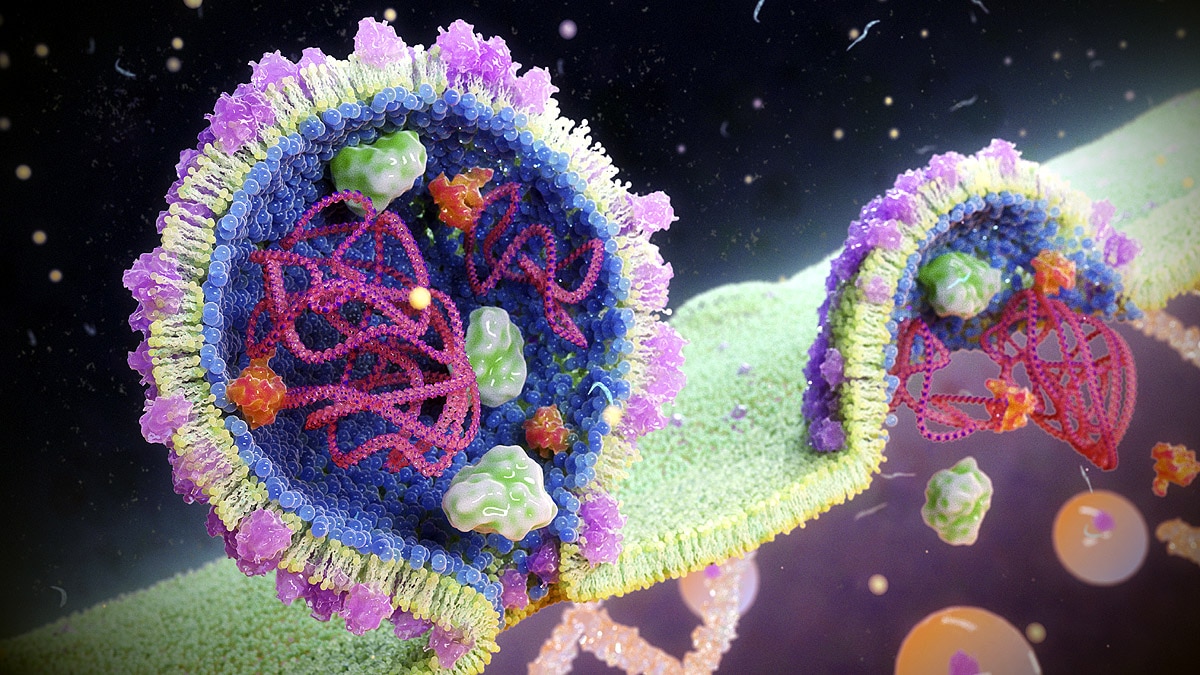 Viruses Discovered in 2022