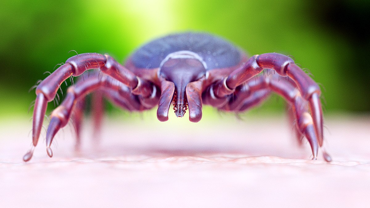 Viruses Discovered in 2022