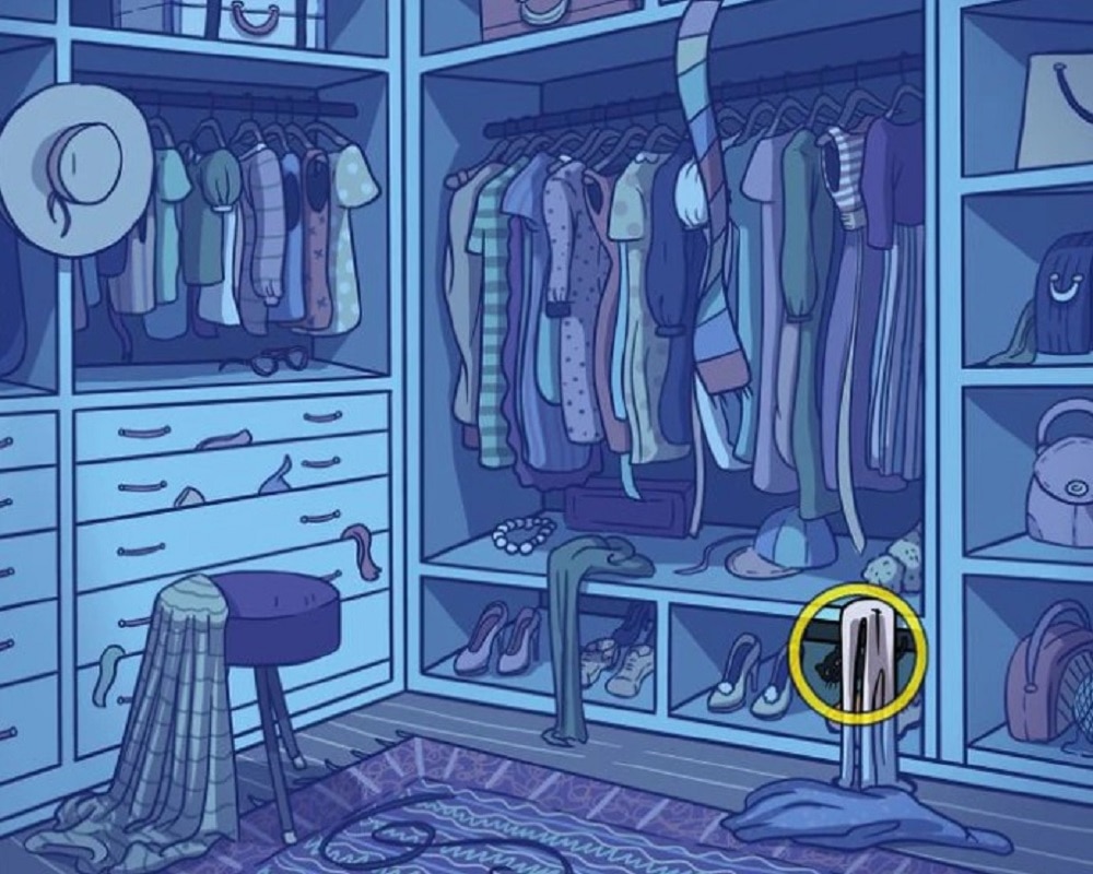 Cat found in Almirah (Photo-Bright Side)