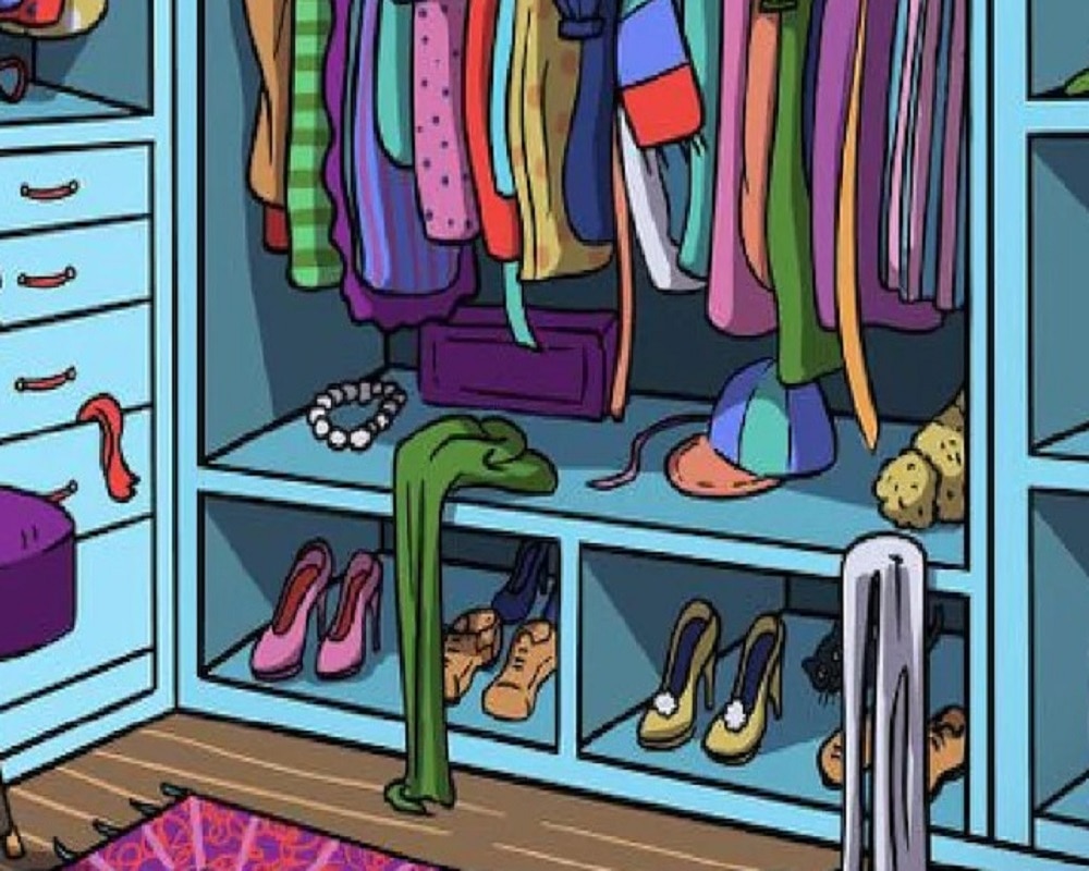 Hidden cat in Almirah (Photo-Bright Side)