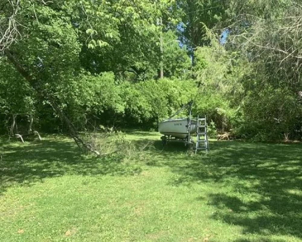 Hidden Cat in Forest (Photo-Bright Side)