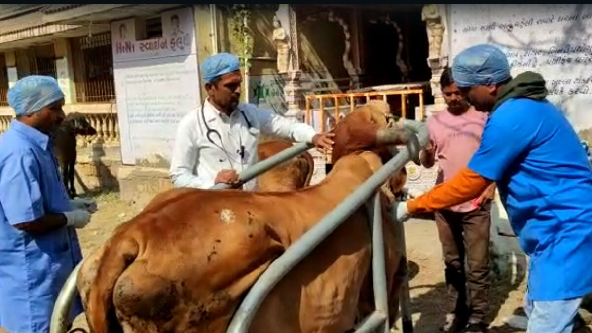 गुजरात चुनाव