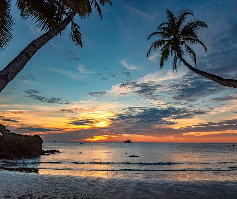 goa (pc: getty images)