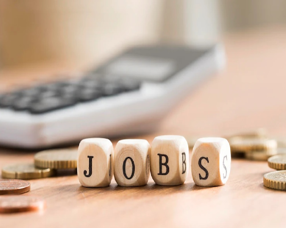 Government Job Application Fee