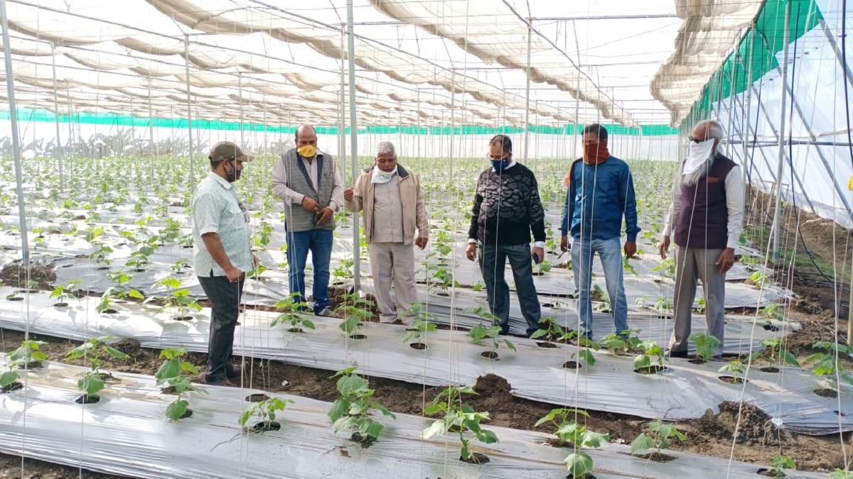 Organic farming tips