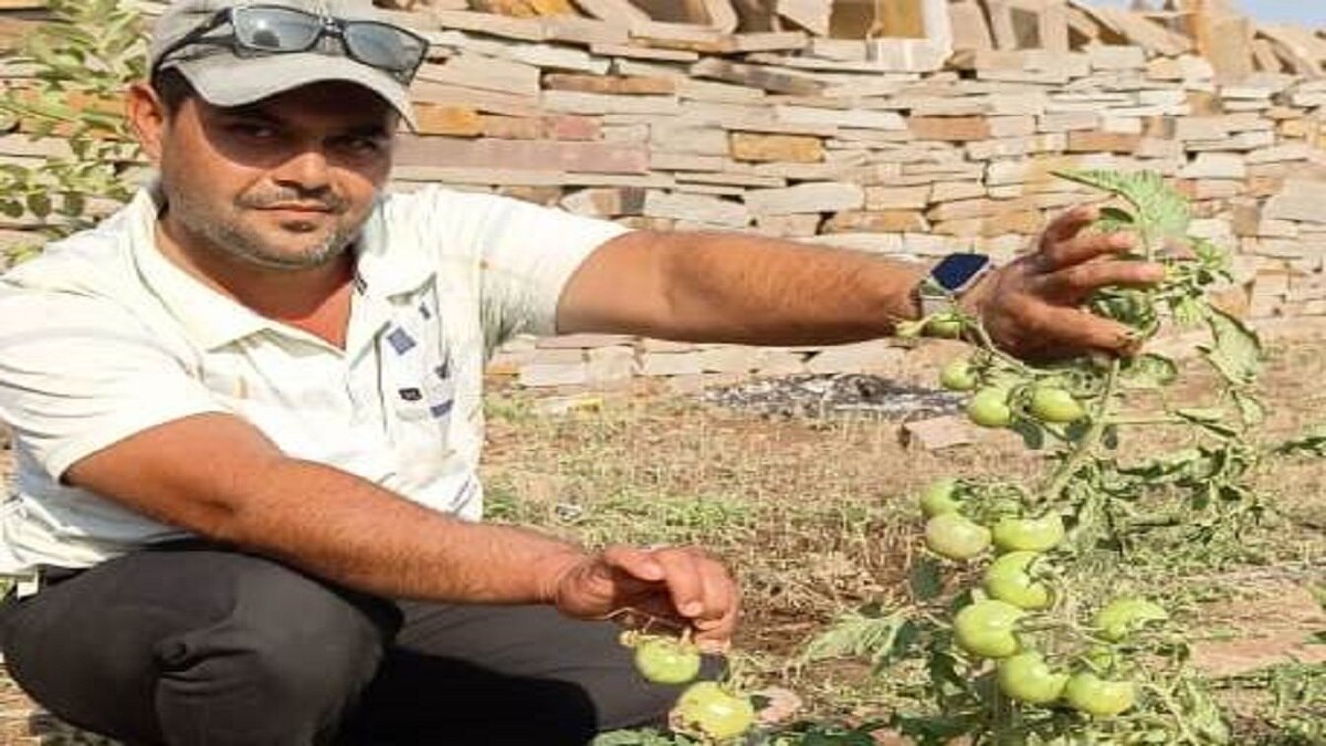 Organic farming benefits