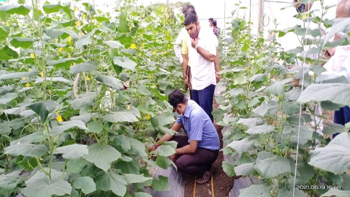 Success Story Of Organic Farmers