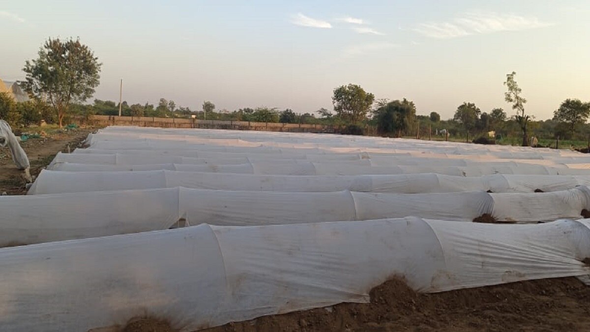 Organic farming news