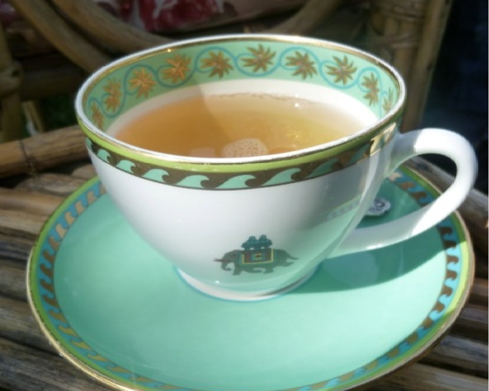 हिमाचल प्रदेश की कांगड़ा चाय