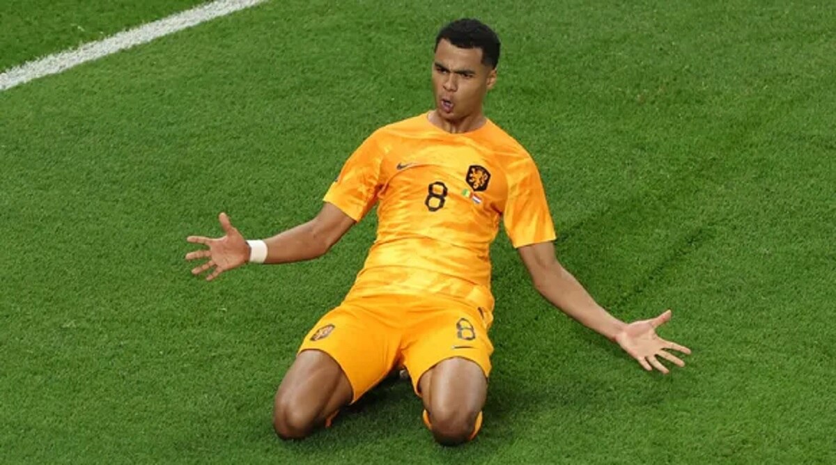 कोडी गेक्पो