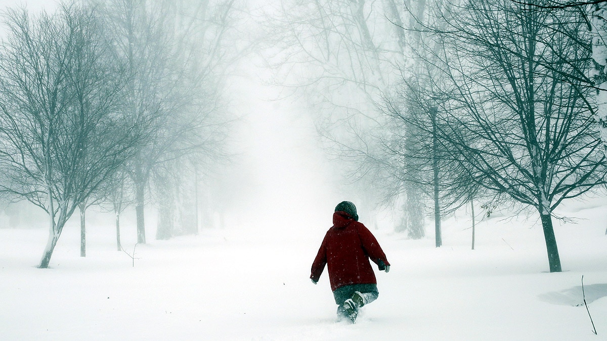 New York Becomes North Pole
