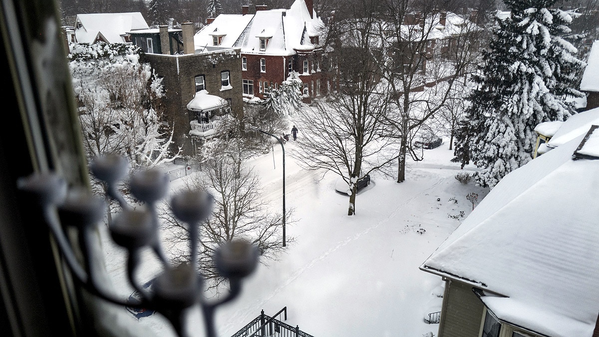 New York Becomes North Pole