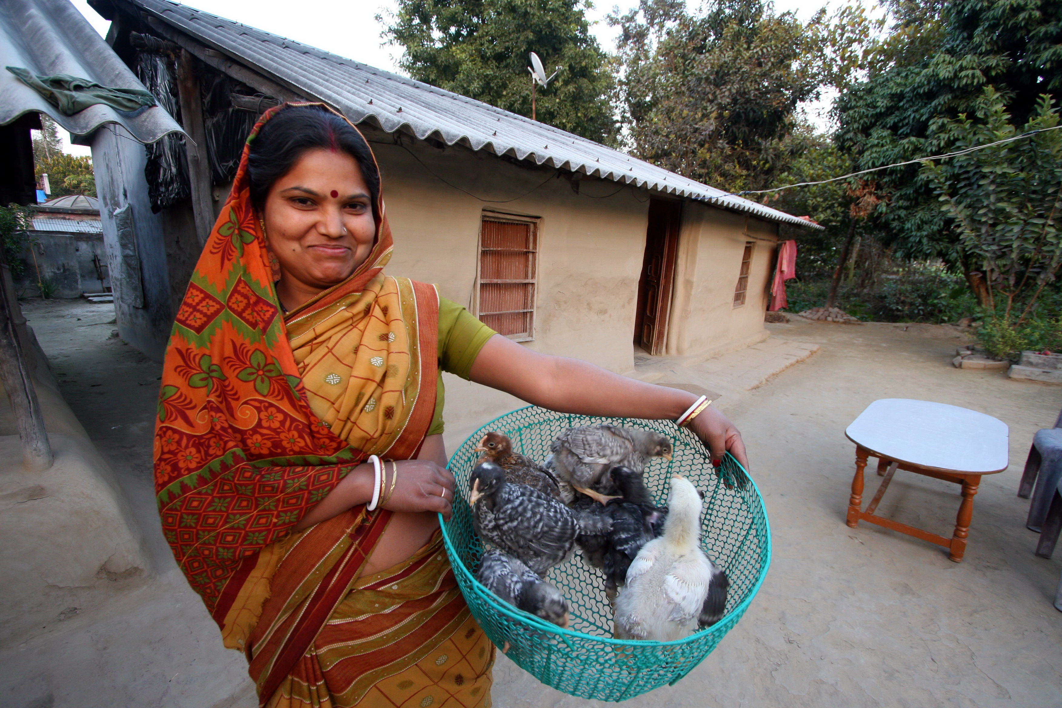 National livestock mission