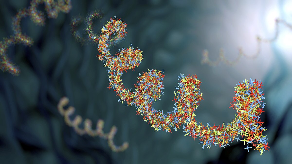 Viruses Discovered in 2022