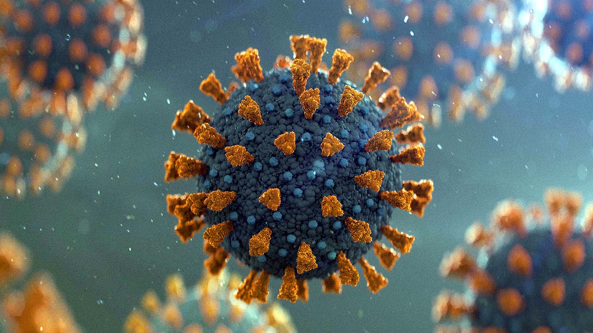 Viruses Discovered in 2022