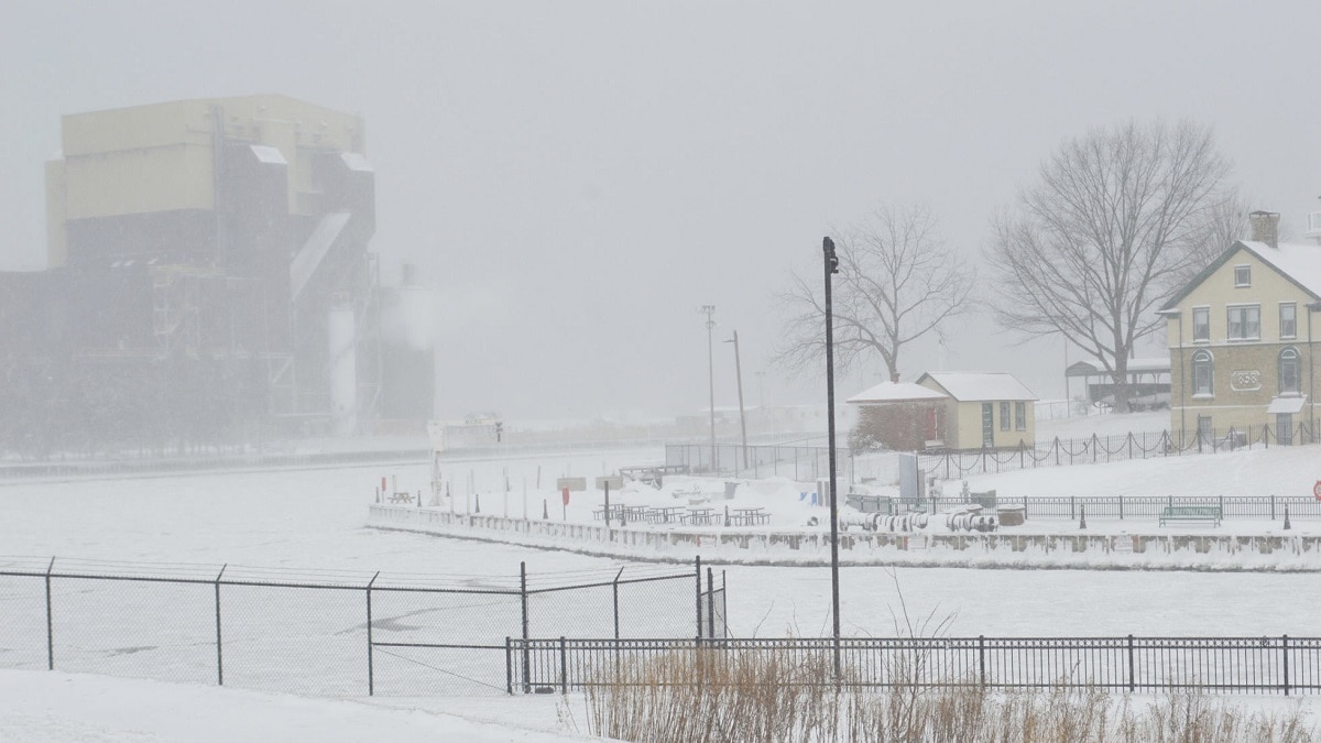 कार और घरों से निकल रहे शव