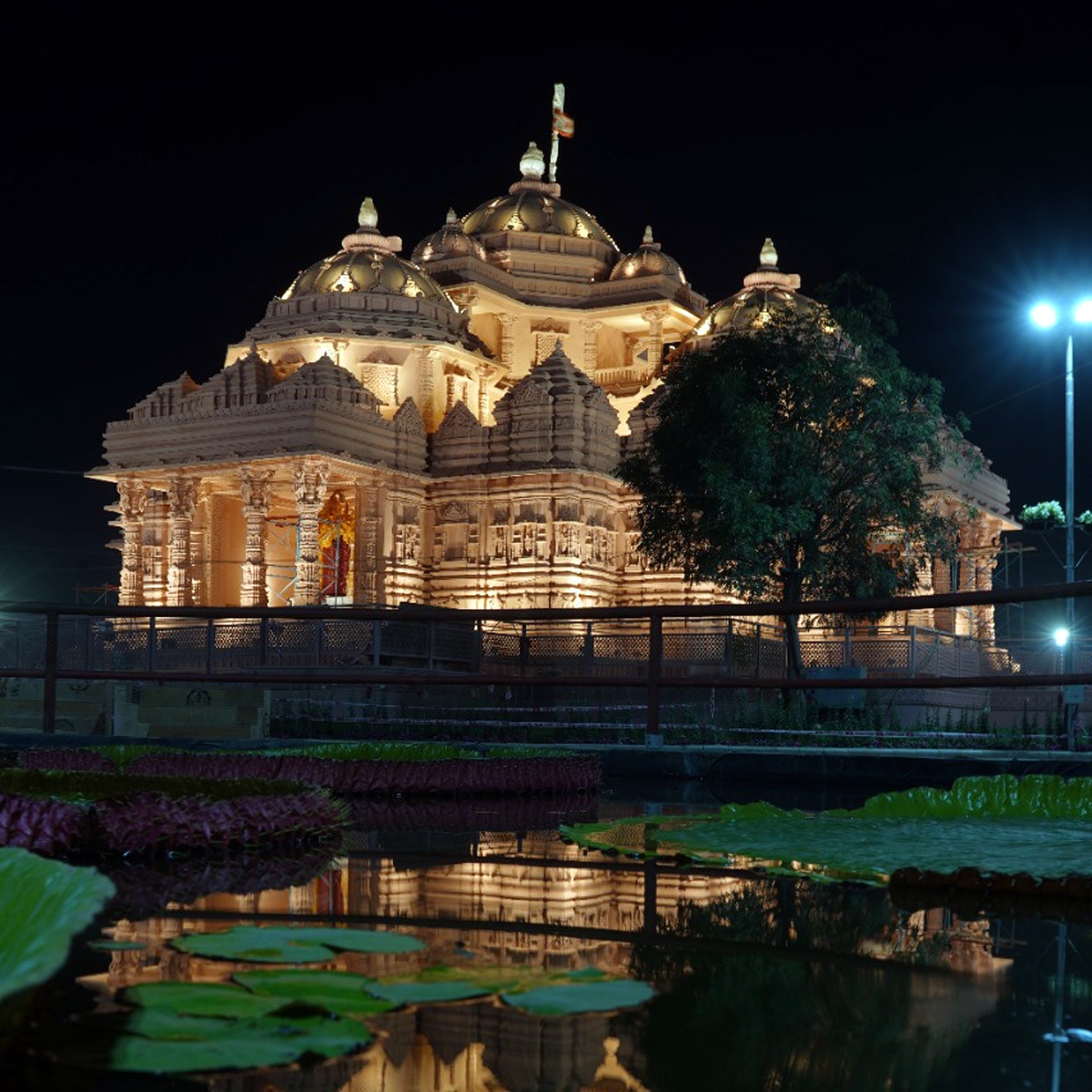 स्वामी महाराज की जयंती