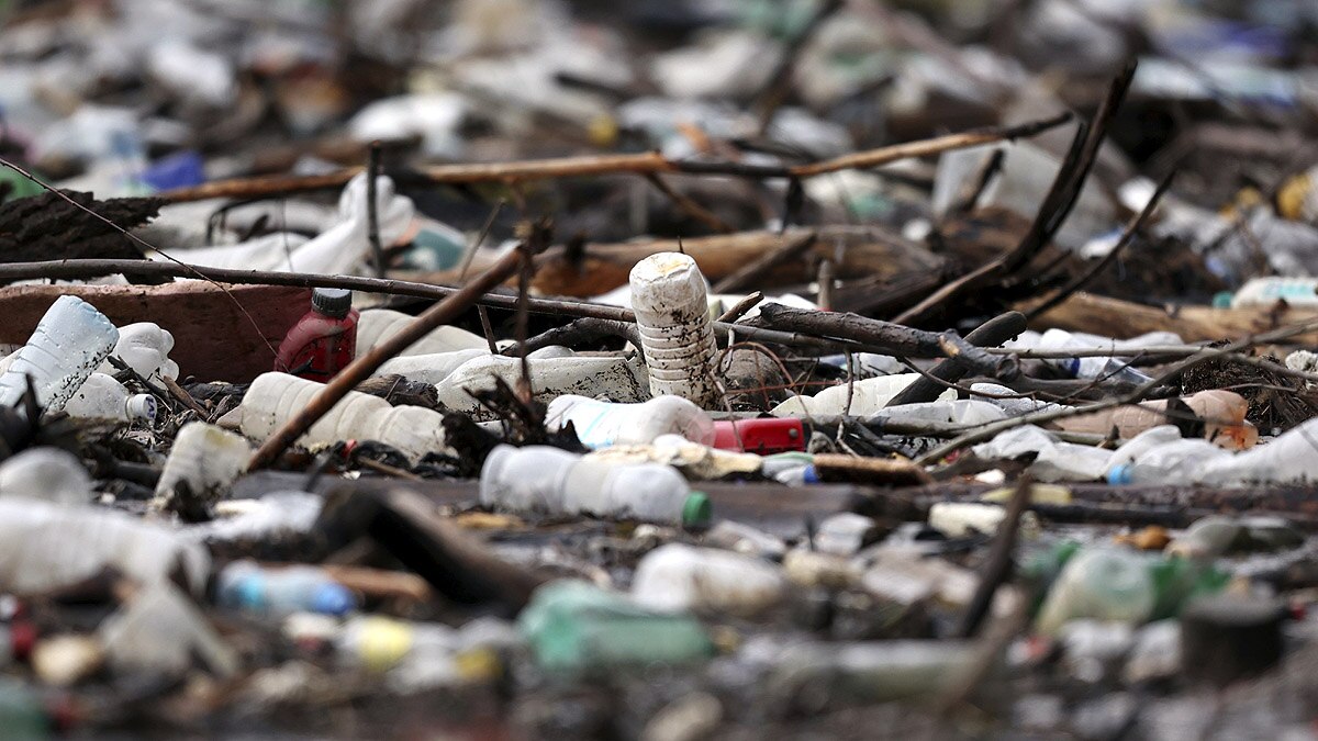 Bosnia Drina River Garbage