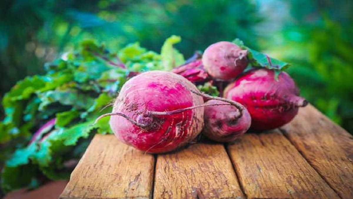 Vegetable farming in garden