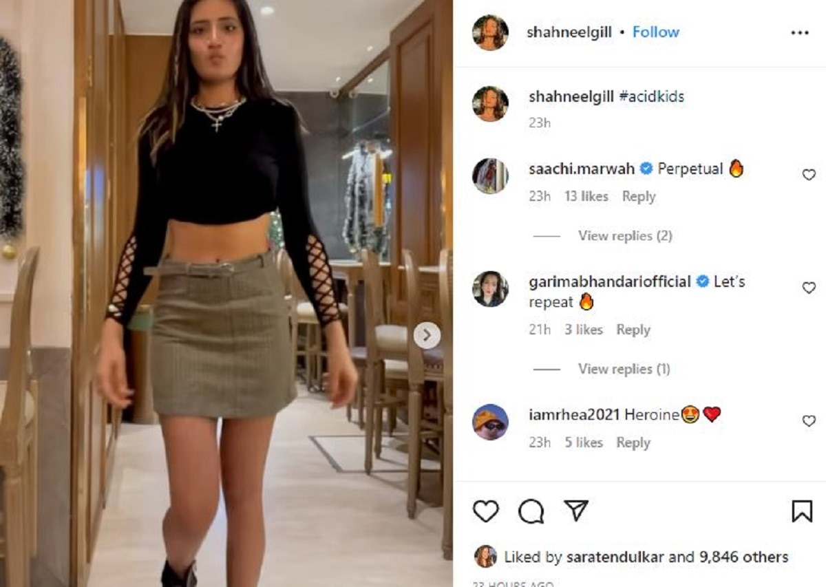 शहनील गिल