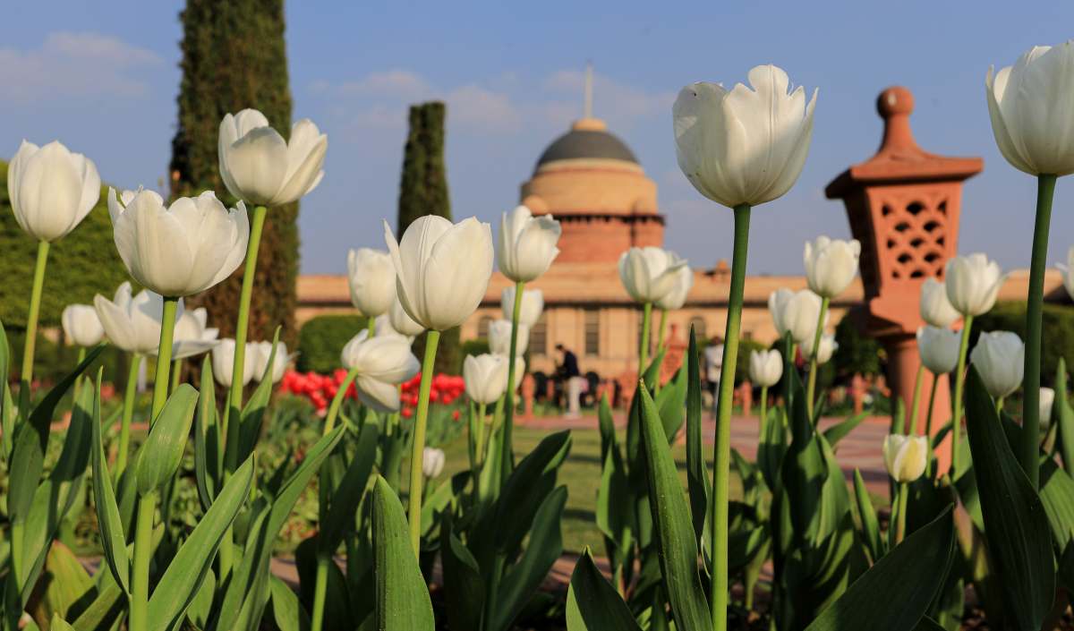 Mughal Garden renamed as Amrit Udyan