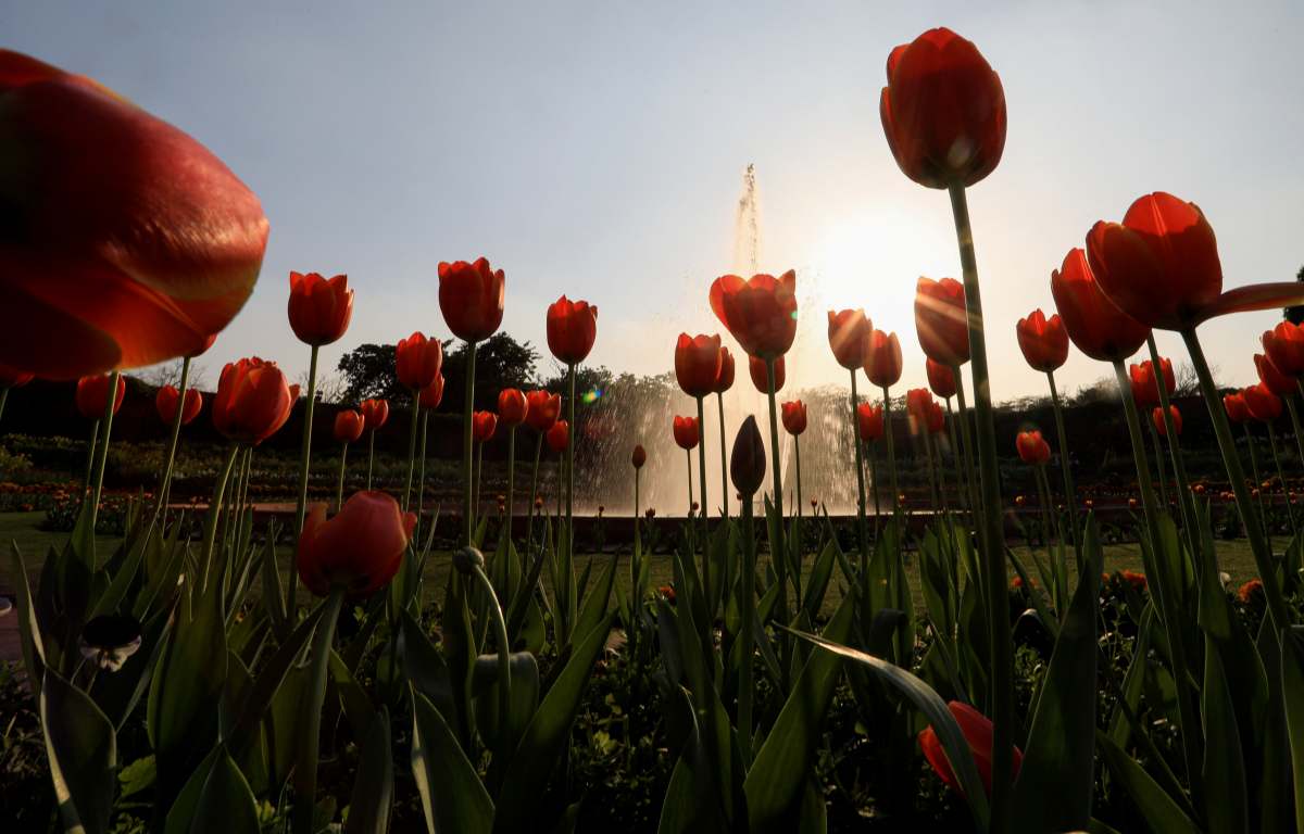Mughal Garden renamed as Amrit Udyan