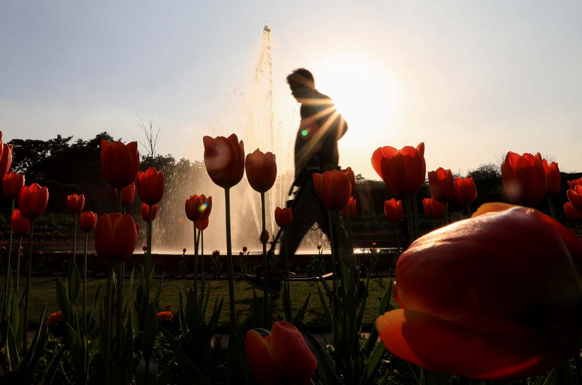 Mughal Garden renamed as Amrit Udyan