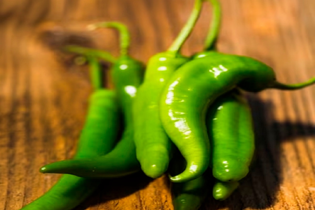 Green Chilli