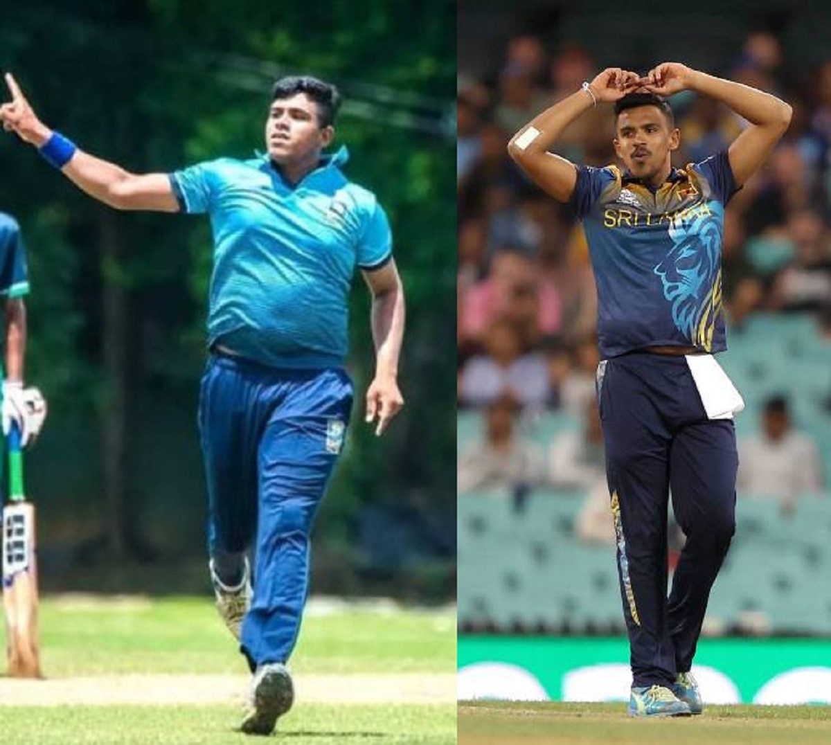 महीष तीक्ष्णा