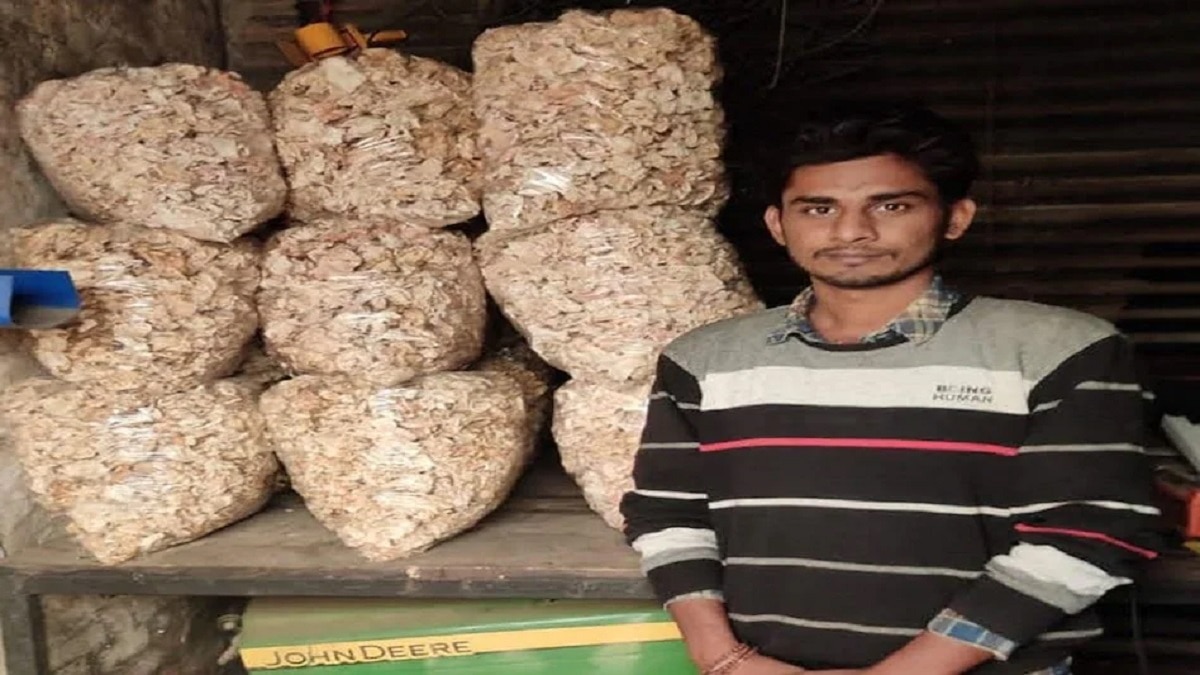 Mushroom farming profit