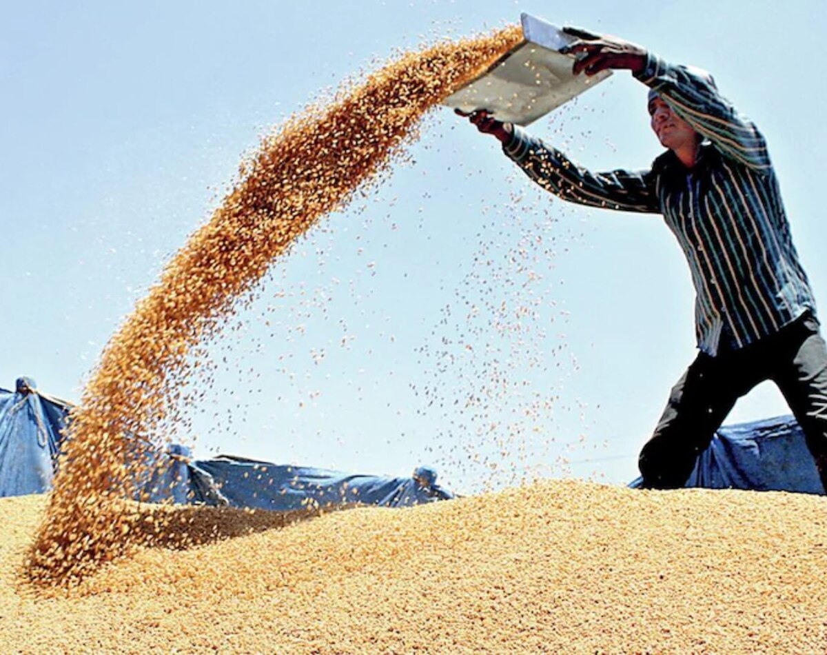 3- गेहूं-बिजली की किल्लत