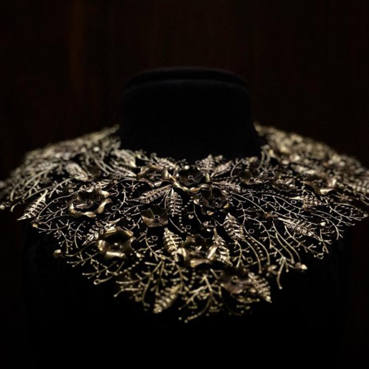 दिविता राय 