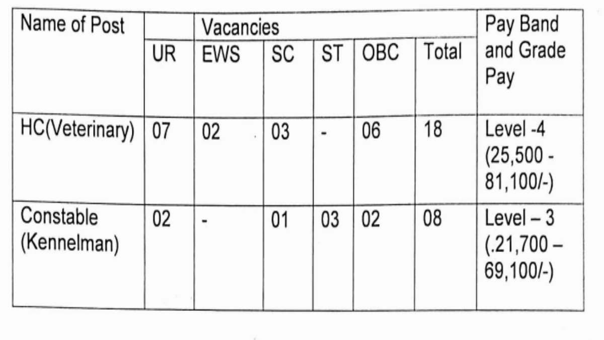 BSF Recruitment 2023 3