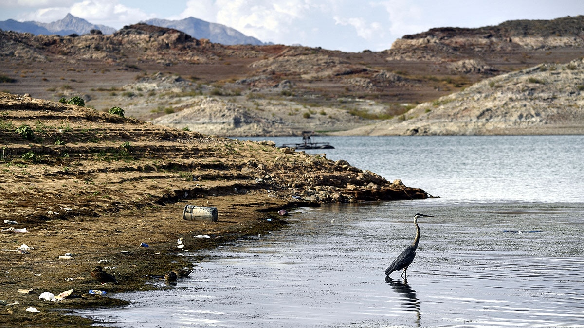 Drying Colorado River