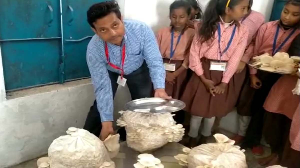 mushroom cultivation in a government school 3