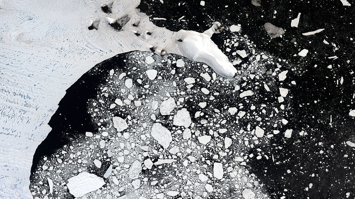 Antarctica Greenland Ice Sheet 