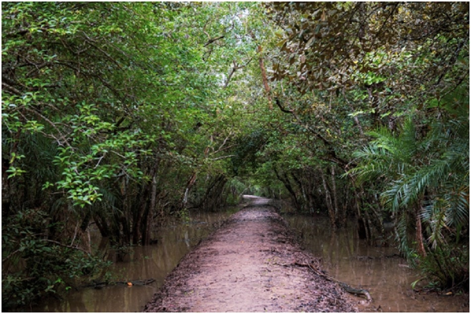 भीतरकनिका