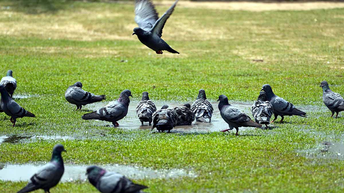 UN Warning on Rising Temperature 