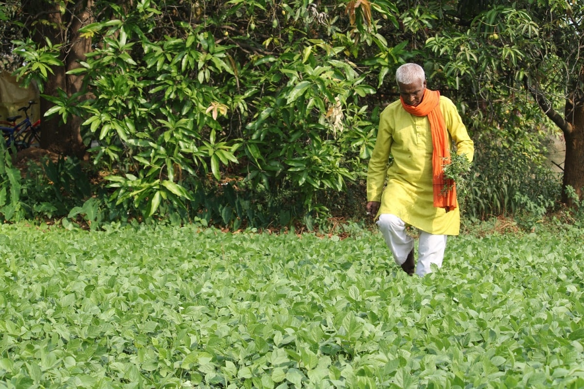Pakistan & Bangladesh refugee farming
