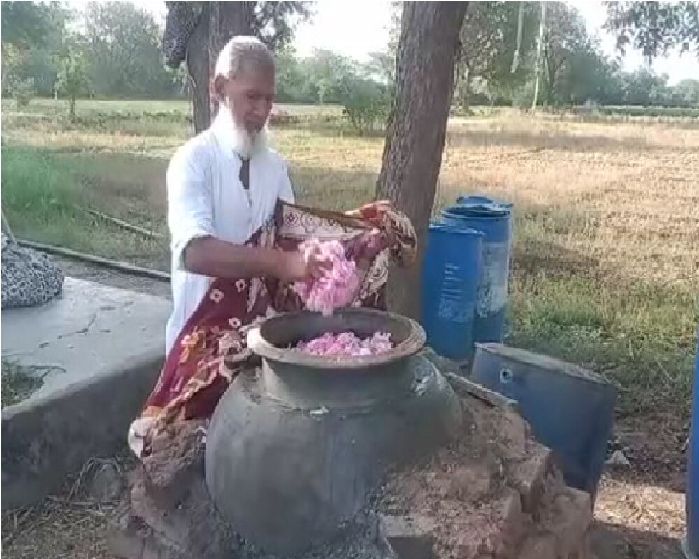 हर दिन 15 से 30 किलो गुलाब का उत्पादन होता है