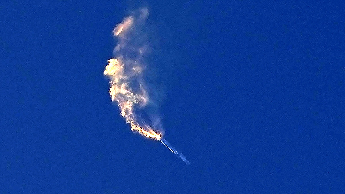 SpaceX Starship Elon Musk