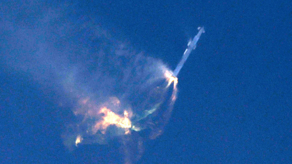 SpaceX Starship Elon Musk